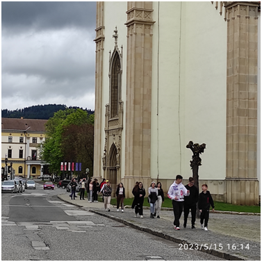 image 23