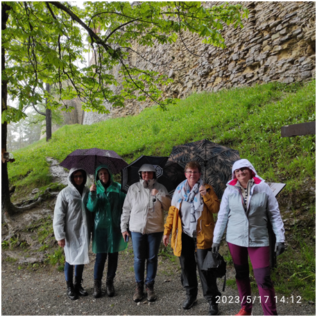 image 36