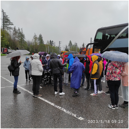 image 38